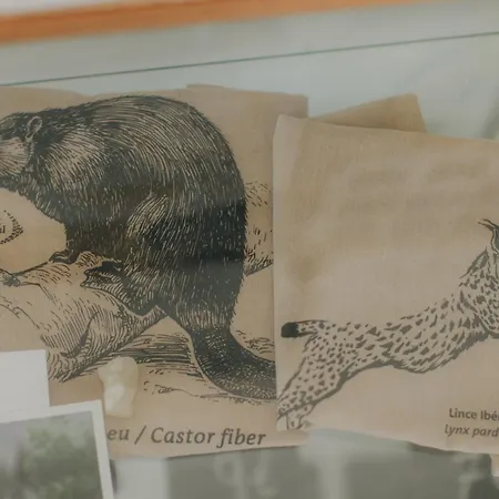 Centro Rewilding * Vale de Madeira