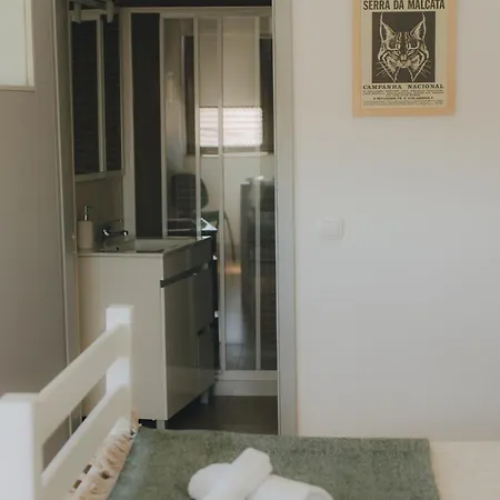 Деревянный коттедж Centro Rewilding