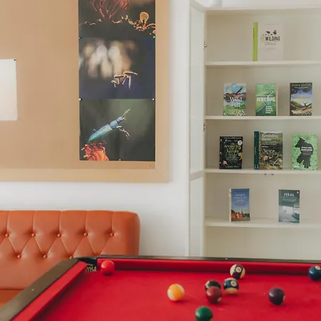 Centro Rewilding Деревянный коттедж Vale de Madeira