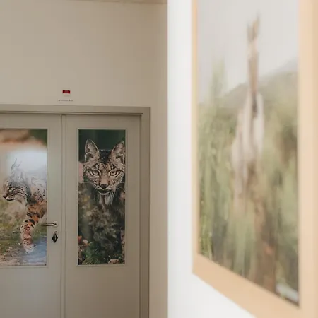 Lodge Centro Rewilding
