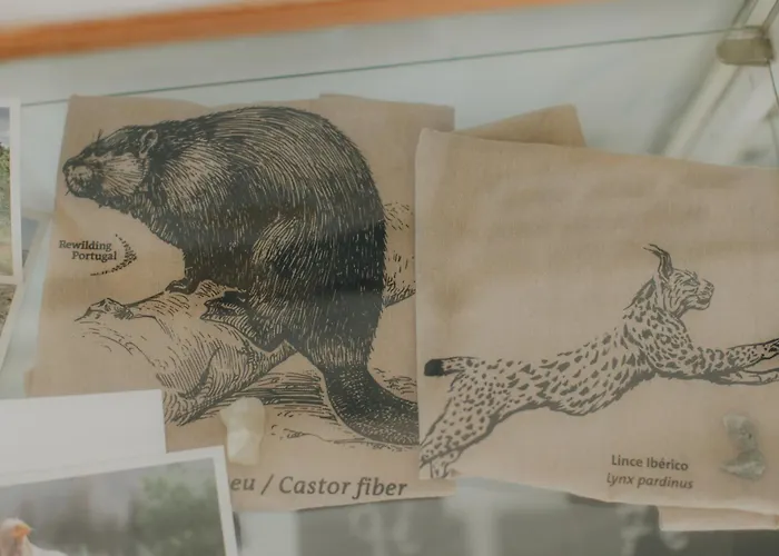 Centro Rewilding * Vale de Madeira