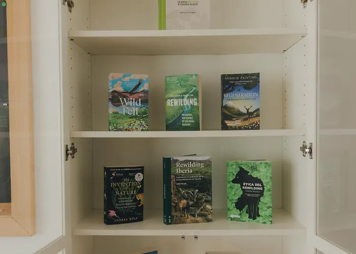 Centro Rewilding Hytte Vale de Madeira