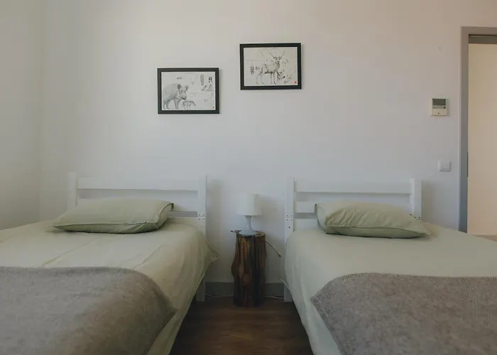 Centro Rewilding * Vale de Madeira