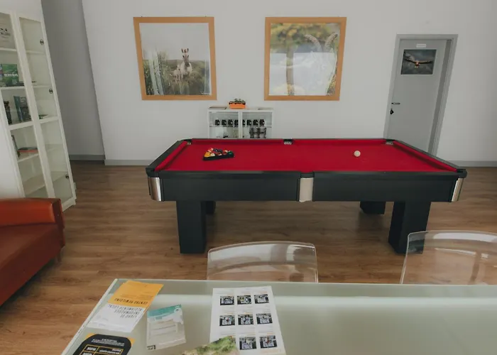 Centro Rewilding Hytte