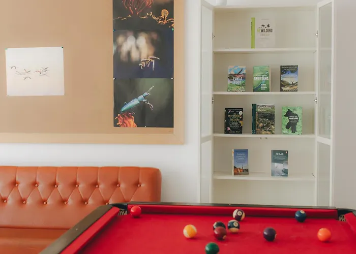 Centro Rewilding אכסניה Vale de Madeira