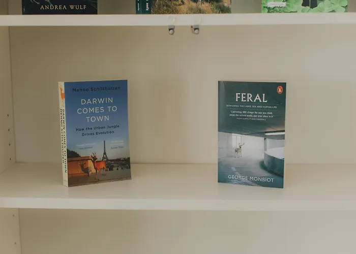 Centro Rewilding Hytte Vale de Madeira