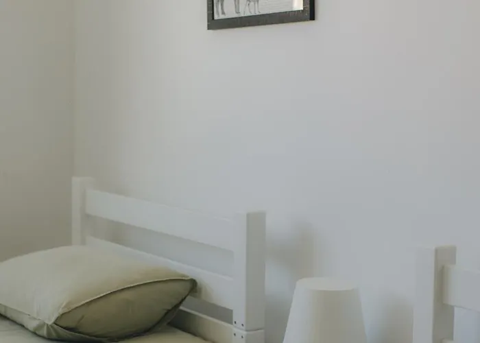 Centro Rewilding אכסניה Vale de Madeira