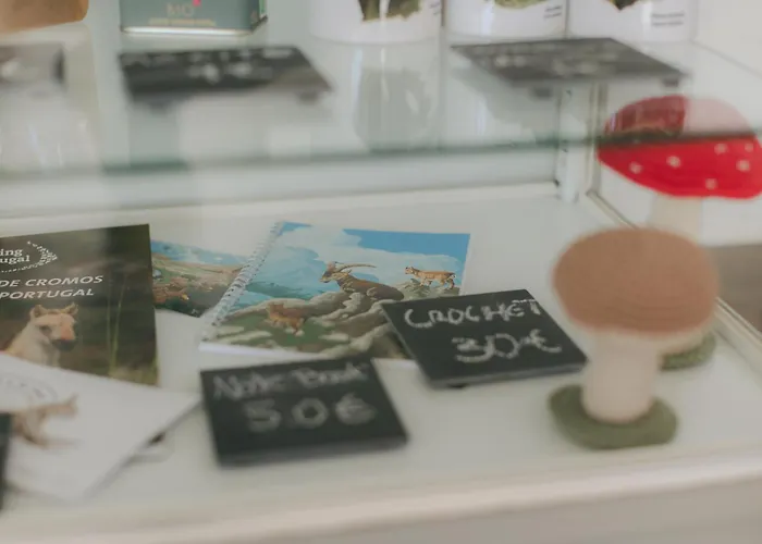 Centro Rewilding אכסניה