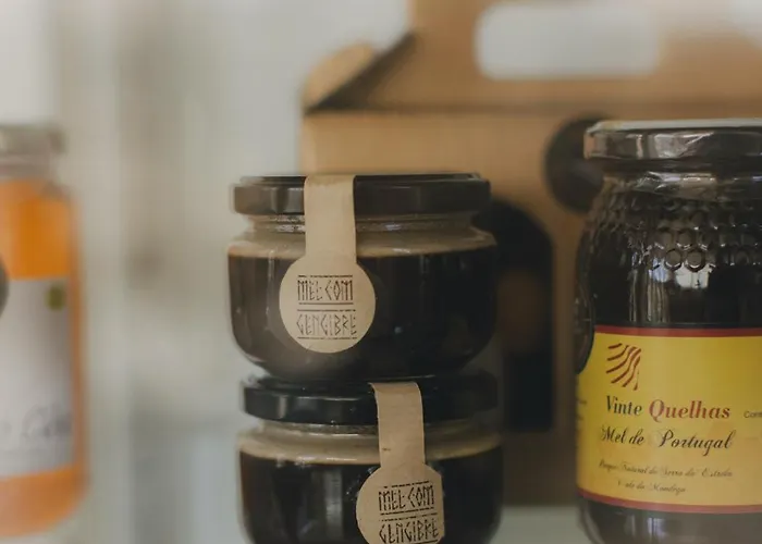 Centro Rewilding Vale de Madeira